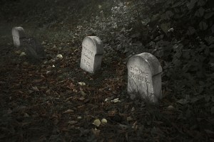 20151008-VC-Darling Robie