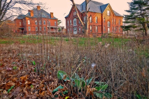 msh-phil tuths-buildings