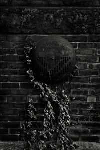 MSH-Vic Cevoli-Detail of a fire alarm