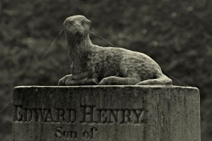vine lake cemetery - edward