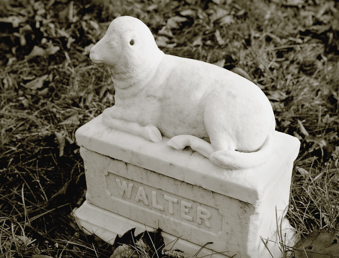 Vine Lake Cemetery - little walter