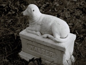 Vine Lake Cemetery - little walter