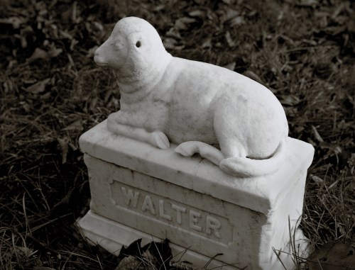 Vine Lake Cemetery - little walter