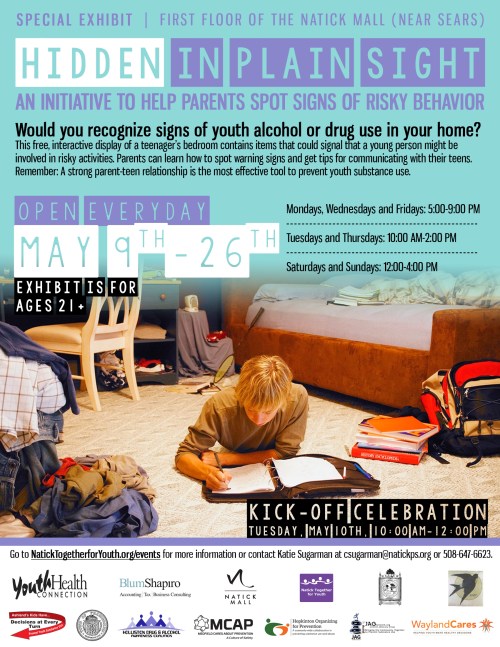 20160425_Hidden_In_Plain_Sight_Flyer