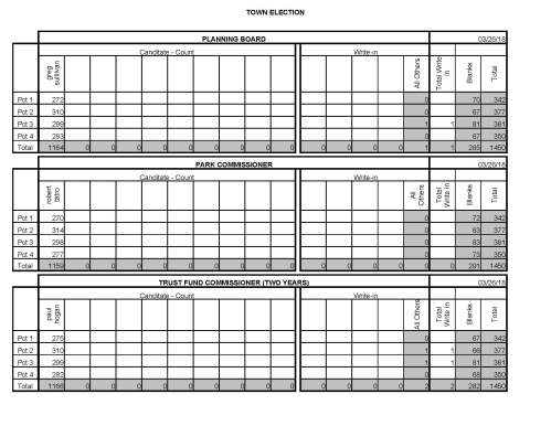 Town Elec Mar 26, 2018_Page_3