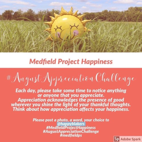 daily happiness challenge august