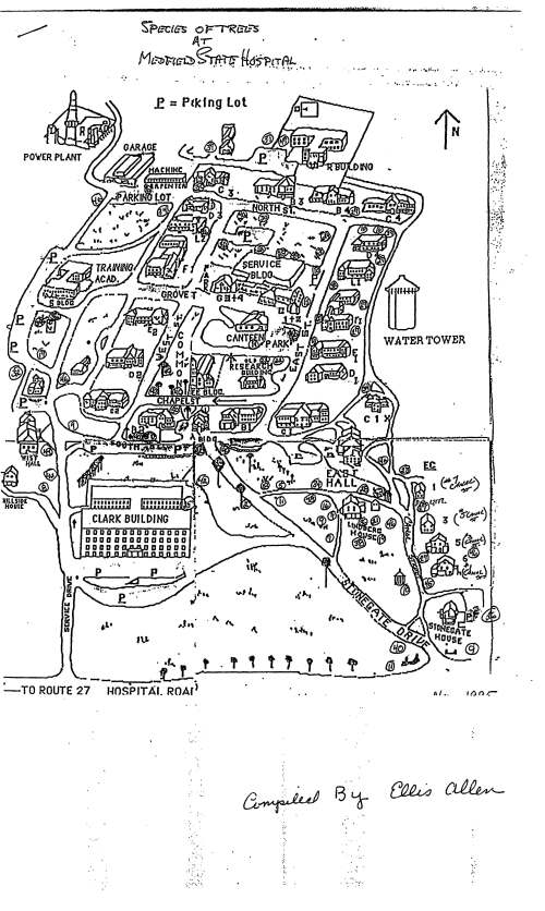 ·~ s-Pecte-s o '1=-r-'RGz:-s A-r Mt:::JJ~f~ ~~. U.d5 .. Pc.T .• .P ..t L,. .. .. ' £ = Pfkfng lot I . . ,.. , .. '• ., ~ .,..h.., __ .. ,.. . r .t . ' __.._/ --- (._ __,. ... _______ ~~ :_TO ROUTE 27 ,_,·-0-S"r""P-IT-Ar. ROAr; ~ .. 'I ·.·· .• .. ·::: ·: ·~ • • • • ••• • • • 0 ' , •• ·-.•=·. .. • . . •.. • . . . . . ... ·•· ........ ~ .. : ,· .·. ,. I ~ ...· .; . :~;:~~· .·..· .·., (:~ "'·· f{)(')r.- I : SPECIES OF TREES AT MEDFIELD STATE HOSPITAL TREE# CO!vnviON NAME SCIENTIFIC NAME 1 American Beech Fagus grandifolia 2 American Elm Ulmus americana 3 Apple Malus spp. 4 Arbotyita" Thuja occidentalis s Black Cherry Prunus serrotina 6 Black Oak Quercus velutina 7 Canadian Hemlock Tsuga canadensis 8 Chinese Chestnut Castanea mollissima 9 Coloracto Blue Spruce Picea pungens glauca 10 Eum!L~ Beech . Fagus sylvatica 11 European PI etree Platanus occidentalis 12 Flowering Che Prunus spp. 13 Flowering Crabapp Malus spp. 14 Flowering Dogwood Comus florida 15 Fraiser Fir Abies fraseri 16 Goldenchain Tree Laburnum Vossi 17 Gray Birch Betula populifolia 18 Green Ash · Fraxinus pennsylvanica 19 Horsechestnut Aesculus hippocastinum 20 Japanese Maple Acer palmatum sp. 21 Japanese Tree Lila~ Syqnga reticulata 22 Little LeafLfuden Tilia cordauf · I 23 ~ocker.nutF.ficko~ Carya spp. 24 Moraine Locust Gleditsia tricanthos inennis 25 Mountain Ash Sorbus··americana 26 Northern Catalpa Catalpa speciosa . 27 Norway Maple Acer platanoides 28 Norway Spruce Picea abies 29 Paperbark Maple Acer griseum 30 Pin Oak Quercus palustris 31 Pitch Pine Pinus rigida 32 Red Cedar Juniperus virginiana 33 Red Oak Quercus rubrum 34 Red Pine Pinus resinosa 35 Sassafrass Sassafrass albidum 36 Saucer Magnolia Magnolia soulangiana 37 Scarlet Oak . -: Quercus coccinia - --- -- 38 S.iberian Elm Ulm~ paiVifol.ia 39 Sourwood Oxydendren arboreum 40 Sugar Maple Acer saccharum 41 Sweet gum Liquidamber styraciflua 42 Tuliptree ~. Liriodendren tulipfera 43 Tupelo Nyssa sylvatica 44 White. Ash Fraxinus americana 45 WhiteOak . Quercus alba· 46 White Pine Pinus strobus 47 Yellowwood Cladrastis I utea 48 White Fir Abies concolor 49 Red Maple Acerrubrum so White Birch Betula alba l)l F~~ee~~