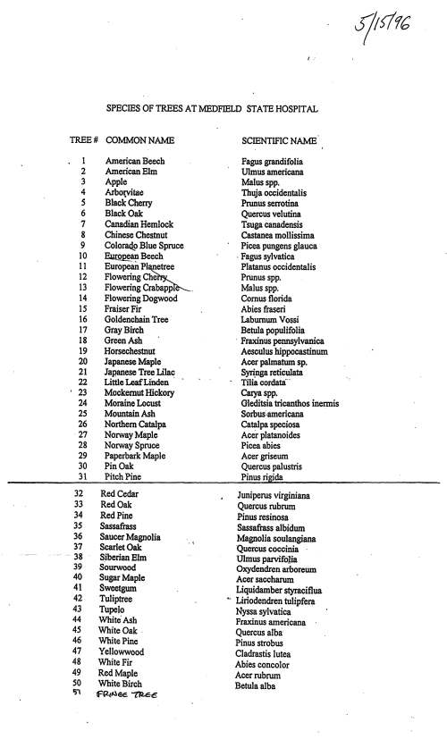 Tree map by Ellis Allen2 _Page_2