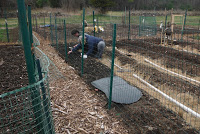 cg-3-Community garden 4-12-20 4